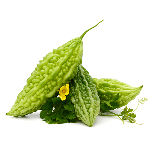 Bitter Melon