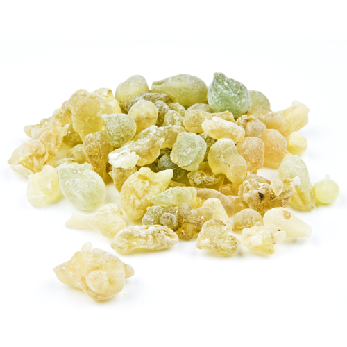 Boswellia