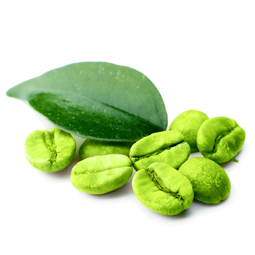 Green Coffee