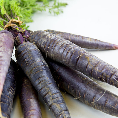 Anthocyanin