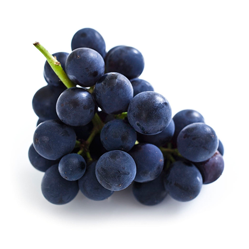 Anthocyanin